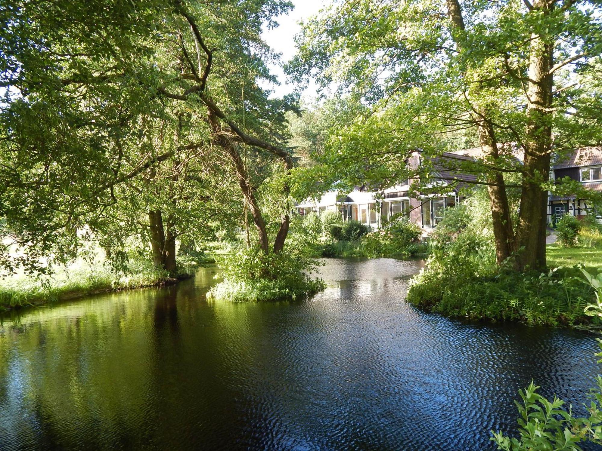 Ellernhof Hotel Dahlenburg Eksteriør billede
